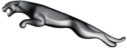 Jaguar logo